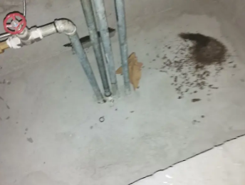 岑巩卫生间测漏水价格明细